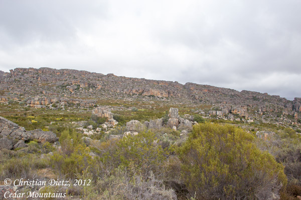 Südafrika - Tag 4 - Zederberge - Cederberg, Western Cape - Afrika