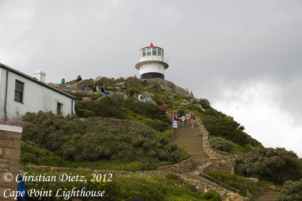 Südafrika - Tag 13 - Silvermine und Kap der Guten Hoffnung - Cape Point - Afrika