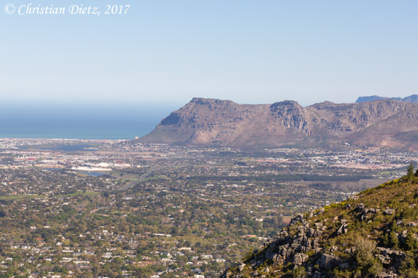 Südafrika - Tag 2 - Tafelberg - Afrika