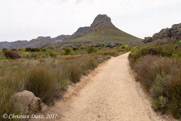 Südafrika - Tag 4 - Cederberg, Western Cape - Afrika