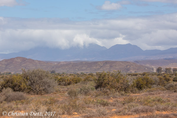 Südafrika - Tag 12 - Oudtshoorn, Western Cape - Afrika
