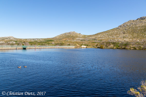 Südafrika - Tag 16 - Silvermine Nature Reserve - Afrika