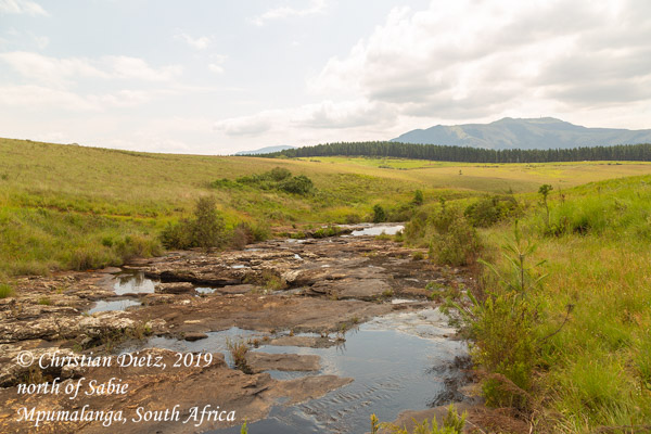 Südafrika - Tag 2 - nördlich von Sabie, Mpumalanga - Afrika
