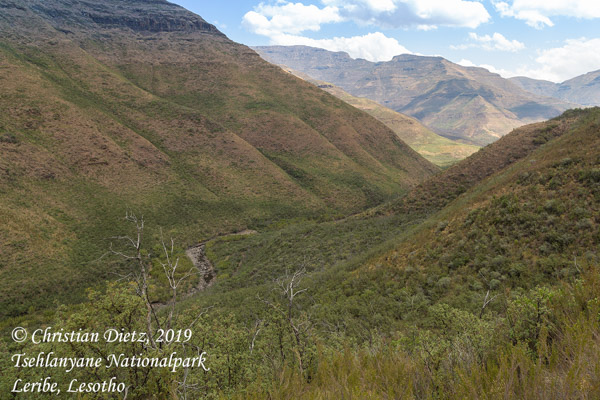 Lesotho - Tag 10 - Tsehlanyane Nationalpark, Leribe - Afrika