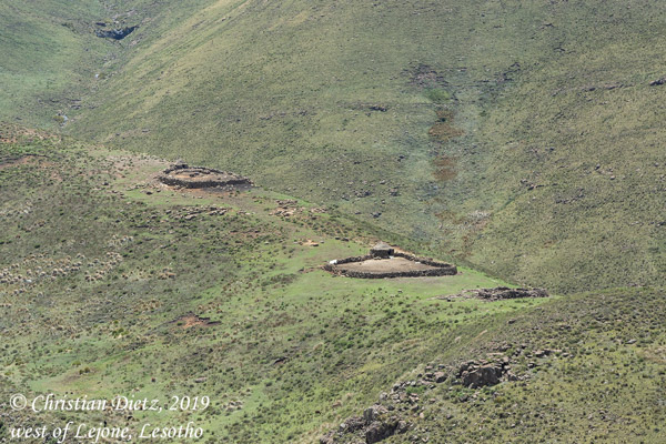 Lesotho - Tag 11 - westlich von Lejone - Afrika