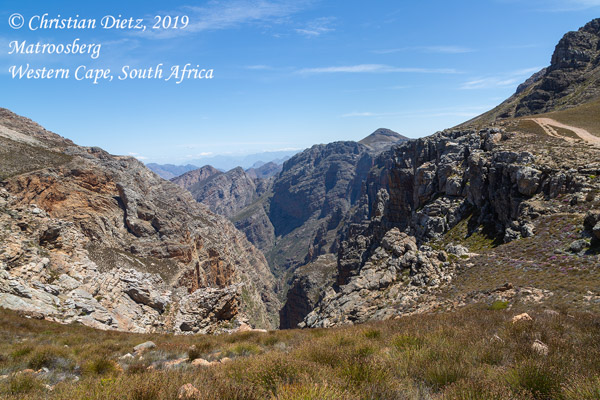 Südafrika - Tag 16 - Matroosberg, Western Cape - Afrika